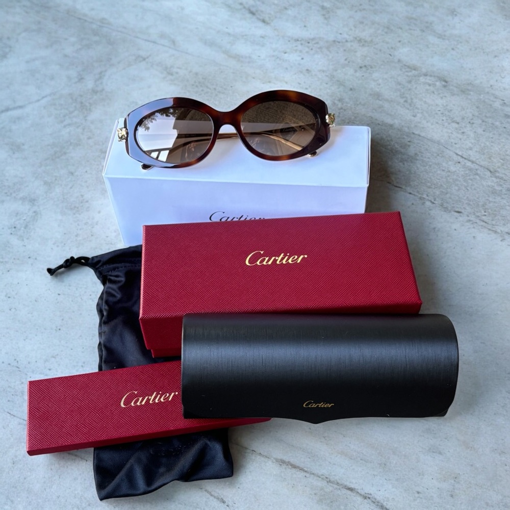 Cartier CT0213S 002 Havana Gradient Sunglasses